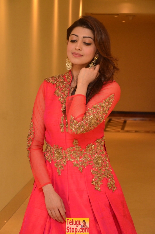 Pranitha subhash new pics- Photos,Spicy Hot Pics,Images,High Resolution WallPapers Download