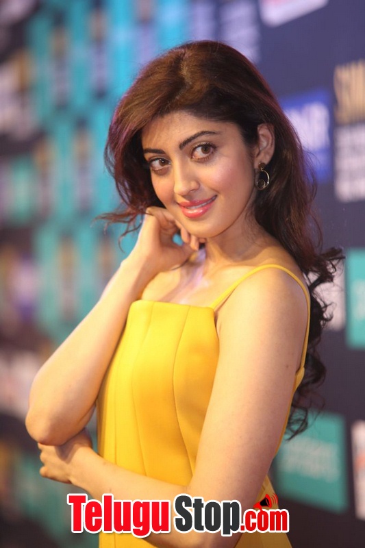 Pranitha subhash new pics 3- Photos,Spicy Hot Pics,Images,High Resolution WallPapers Download