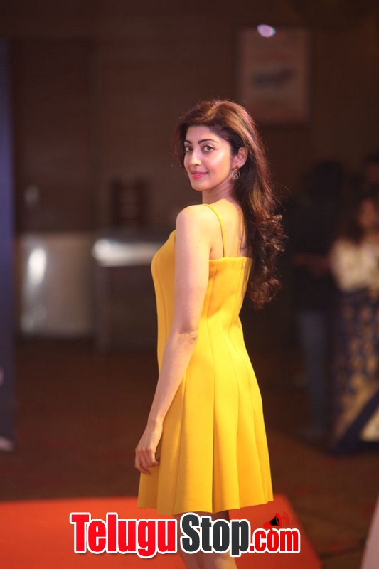 Pranitha subhash new pics 3- Photos,Spicy Hot Pics,Images,High Resolution WallPapers Download