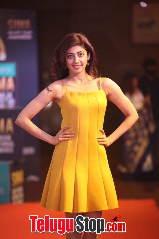 Pranitha subhash new pics 3- Photos,Spicy Hot Pics,Images,High Resolution WallPapers Download