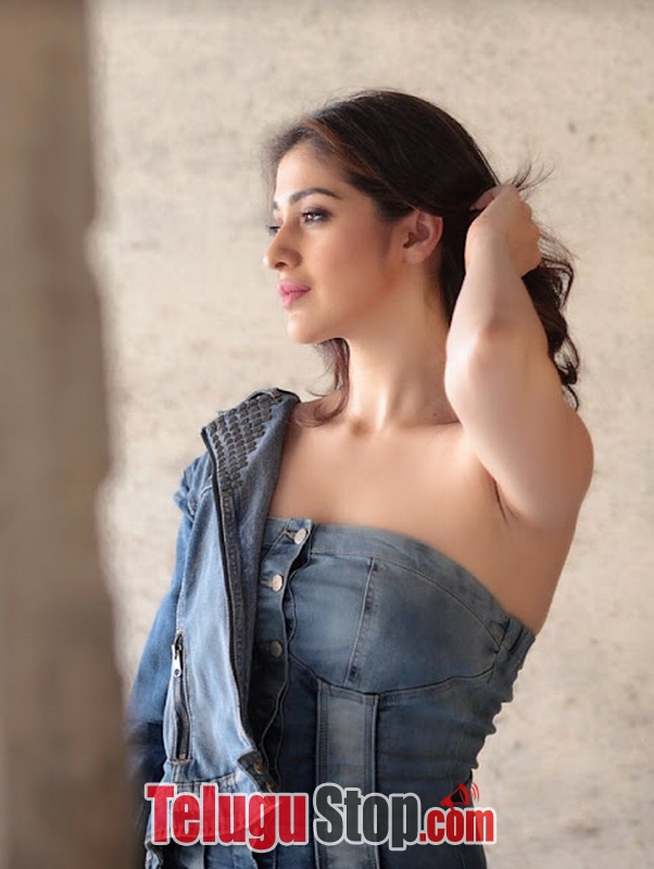 Raai laxmi new stills 2- Photos,Spicy Hot Pics,Images,High Resolution WallPapers Download