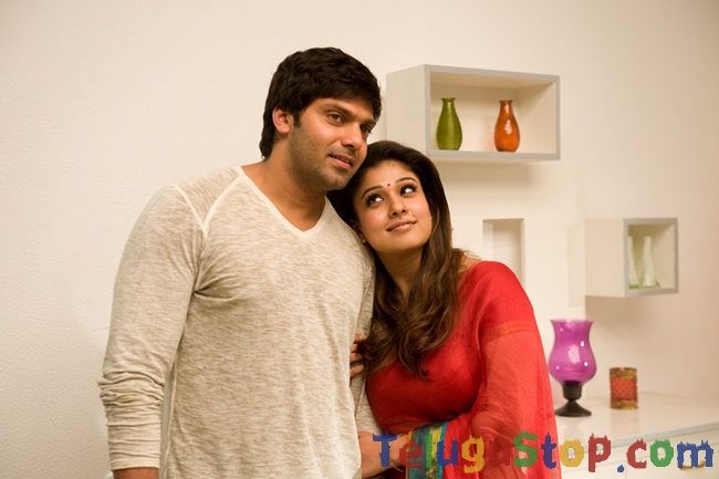 Raja rani movie stills 2- Photos,Spicy Hot Pics,Images,High Resolution WallPapers Download