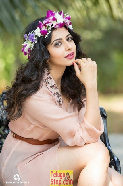 Rakul preet singh new stills 16- Photos,Spicy Hot Pics,Images,High Resolution WallPapers Download