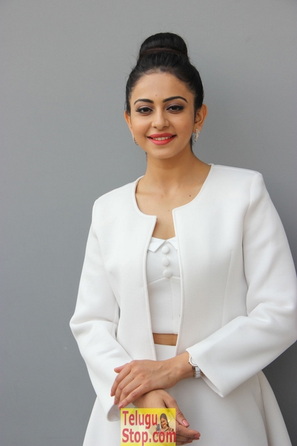 Rakul preet singh new stills 8- Photos,Spicy Hot Pics,Images,High Resolution WallPapers Download