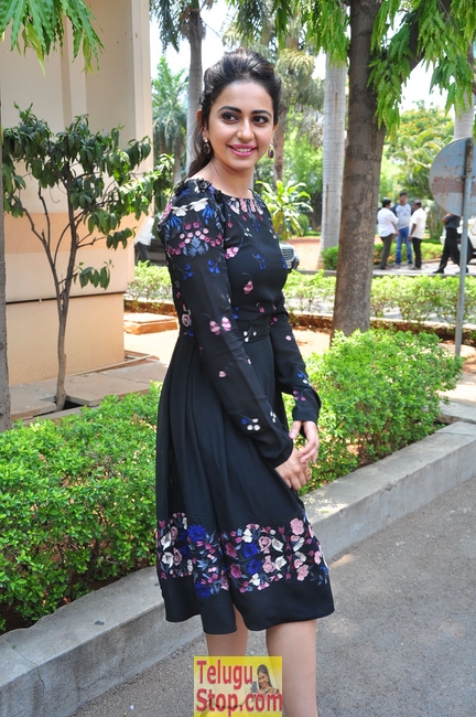 Rakul preet singh stills 10- Photos,Spicy Hot Pics,Images,High Resolution WallPapers Download