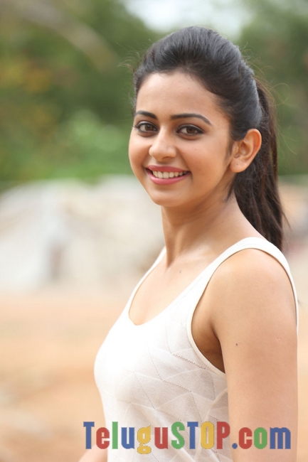 Rakul preeti singh new stills- Photos,Spicy Hot Pics,Images,High Resolution WallPapers Download