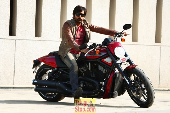 Ravi teja new stills- Photos,Spicy Hot Pics,Images,High Resolution WallPapers Download