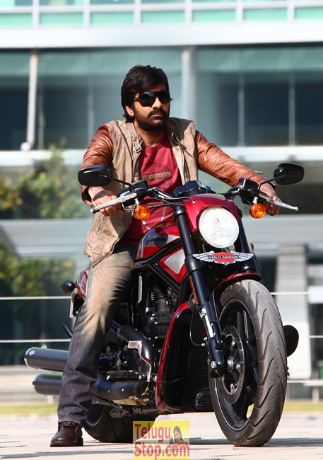 Ravi teja new stills- Photos,Spicy Hot Pics,Images,High Resolution WallPapers Download