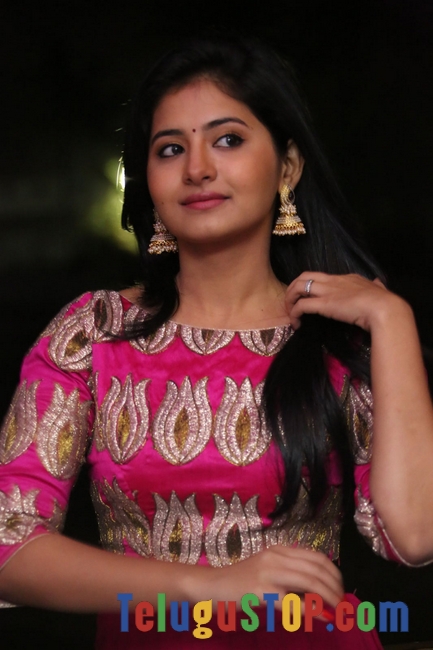 Reshmi menon new stills- Photos,Spicy Hot Pics,Images,High Resolution WallPapers Download