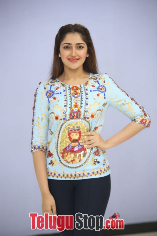 Sayesha saigal latest photos- Photos,Spicy Hot Pics,Images,High Resolution WallPapers Download