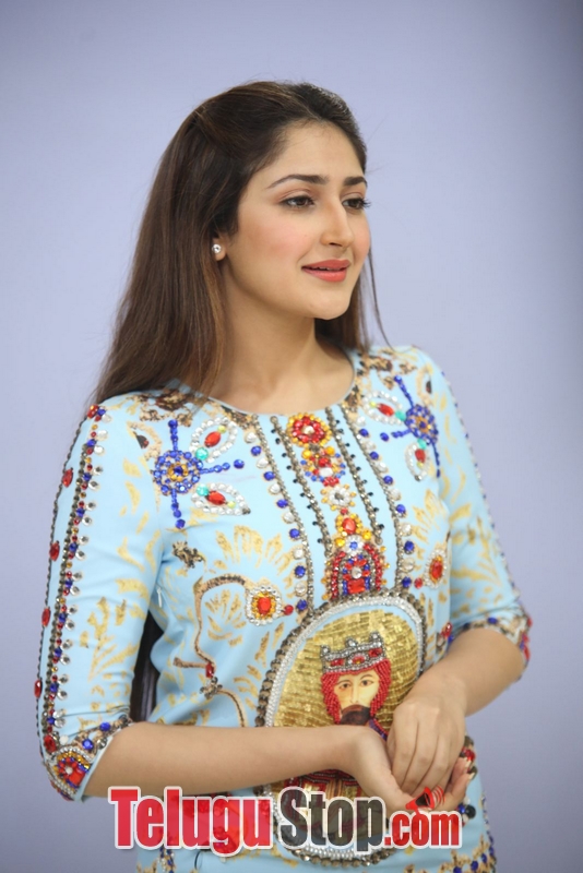 Sayesha saigal latest photos- Photos,Spicy Hot Pics,Images,High Resolution WallPapers Download