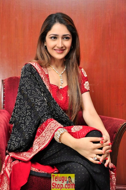 Sayyeshaa new stills- Photos,Spicy Hot Pics,Images,High Resolution WallPapers Download