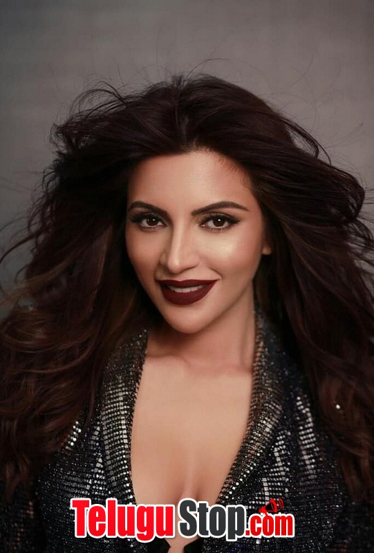 Shama sikander hot pics- Photos,Spicy Hot Pics,Images,High Resolution WallPapers Download