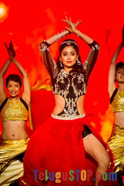 Shriya saran at siima awards 2014- Photos,Spicy Hot Pics,Images,High Resolution WallPapers Download