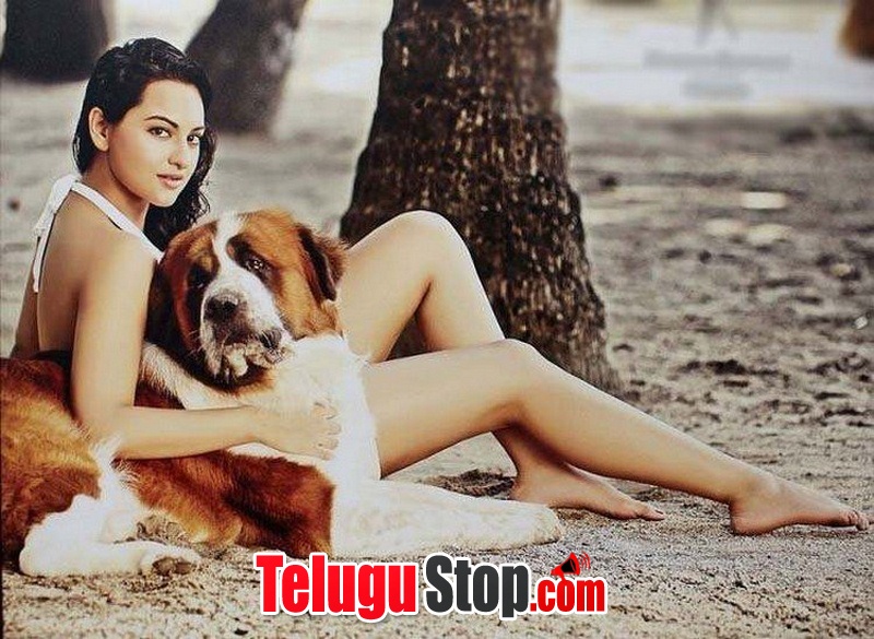 Sonakshi sinha hot pics- Photos,Spicy Hot Pics,Images,High Resolution WallPapers Download