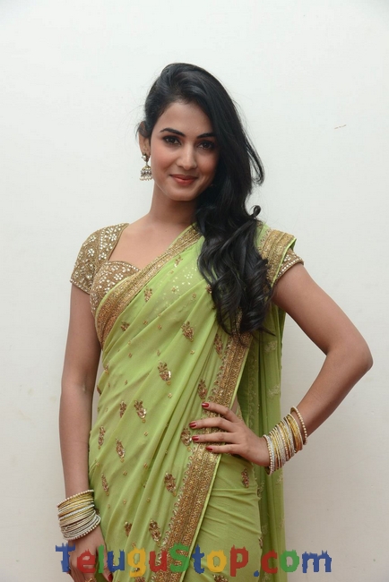 Sonal chauhan new stills- Photos,Spicy Hot Pics,Images,High Resolution WallPapers Download
