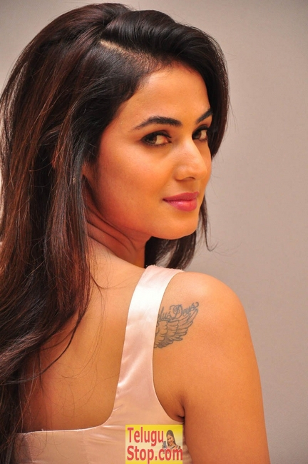 Sonal chauhan new stills 2- Photos,Spicy Hot Pics,Images,High Resolution WallPapers Download