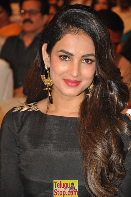 Sonal chauhan new stills 3- Photos,Spicy Hot Pics,Images,High Resolution WallPapers Download