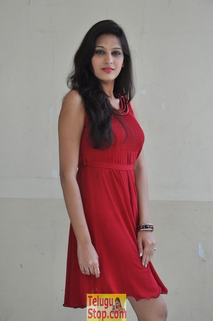 Swetha new stills- Photos,Spicy Hot Pics,Images,High Resolution WallPapers Download