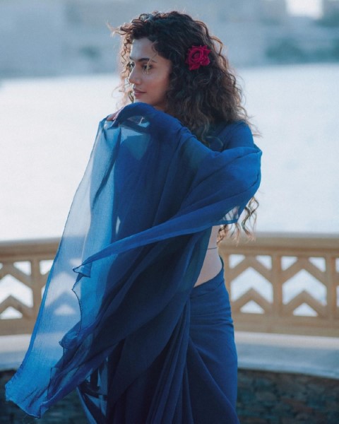 Taapsee pannu looks gorgeous in a blue saree with a rose-Taapsee, Taapsee Pannu, Taapseepannu, Tapsee Pannu Photos,Spicy Hot Pics,Images,High Resolution WallPapers Download