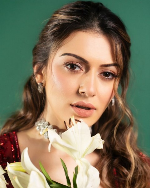 Tollywood beauty hansika motwani looks amazing in this stills-Actresshansika, Hansika, Hansika Motwani, Hansikamotwani Photos,Spicy Hot Pics,Images,High Resolution WallPapers Download