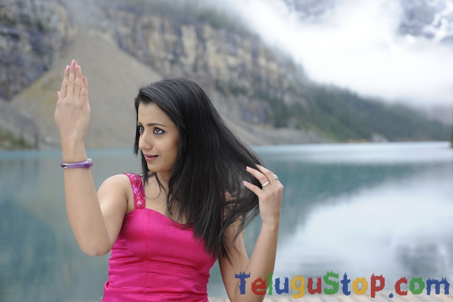 Trisha latest stills 2- Photos,Spicy Hot Pics,Images,High Resolution WallPapers Download