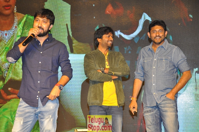 Winner movie pre release function- Photos,Spicy Hot Pics,Images,High Resolution WallPapers Download