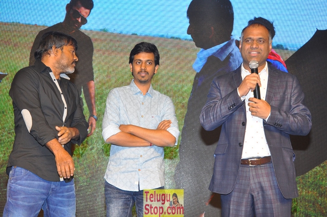 Winner movie pre release function- Photos,Spicy Hot Pics,Images,High Resolution WallPapers Download