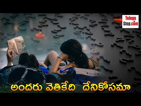  అందరు వెతికేది  దీని కోసమేనా ..?-TeluguStop.com