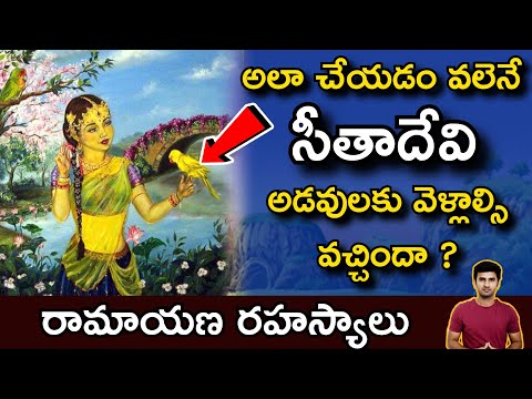  Sita Cursed :చిలుకలు సీత దేవిని ఎందుక�-TeluguStop.com