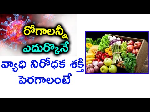  Foods That Boost The Immune System || రోగాలన్నీ ఎదుర�-TeluguStop.com