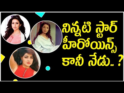  What Happened To These Star Heroines Telugu-TeluguStop.com