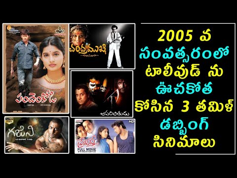  Tamil Dubbing Movie Top Hits In 2005 | టాలీవుడ్ ను ఊచక-TeluguStop.com