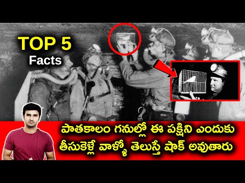  Top 5 Interesting Facts Explained In Telugu | Astatine & Unknown Facts About-TeluguStop.com