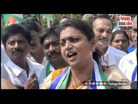  Roja Reacted Sharply To Tdp Leader Pattabhis Remarks-TeluguStop.com