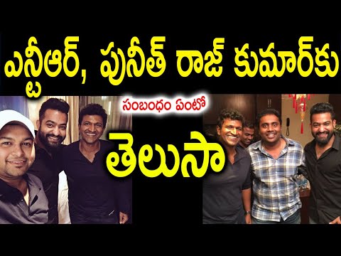  తెలుసాrelation Between Puneeth Rajkumar And Ntr | Bangalore | Kannad-TeluguStop.com