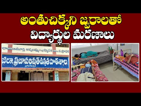  Students Deaths In Koyyalagudem Village | Telugu Ysr Congress | Ys Jagan-TeluguStop.com