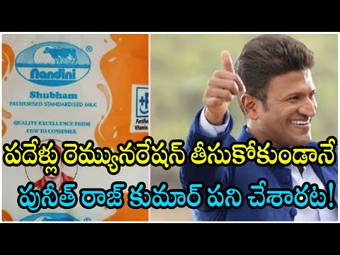  Puneeth Rajkumar Milk Federation Ambassador Without Remuneration-TeluguStop.com