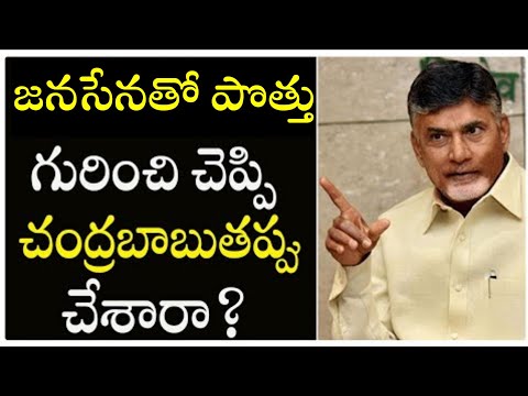  Chandrababu About Alliance With Janasena-TeluguStop.com