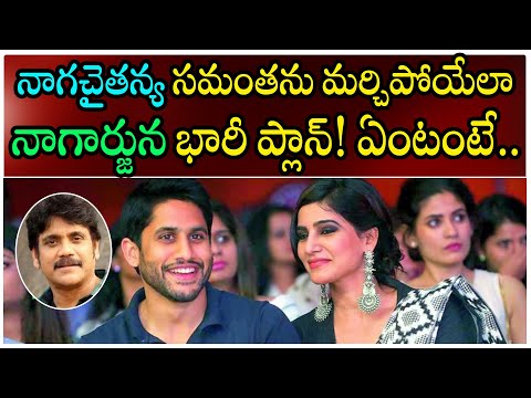  Nagarjuna Master Plan For Naga Chaitanya వేసాడు😰#chaysam-TeluguStop.com