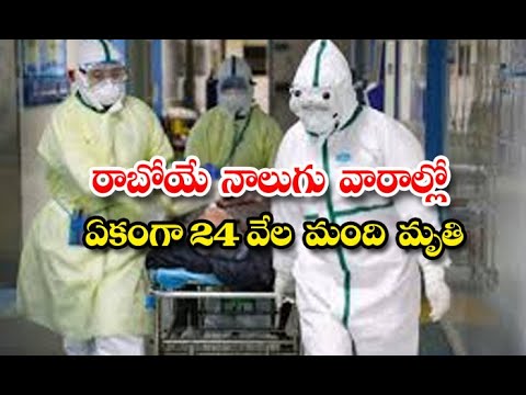  Corona Warning To Usa, Corona Virus, Corona Vaccine, Who, Covid19 Telugu Corona-TeluguStop.com