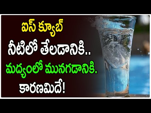  Why Does Ice Float On Water But Sink In Alcohol-TeluguStop.com