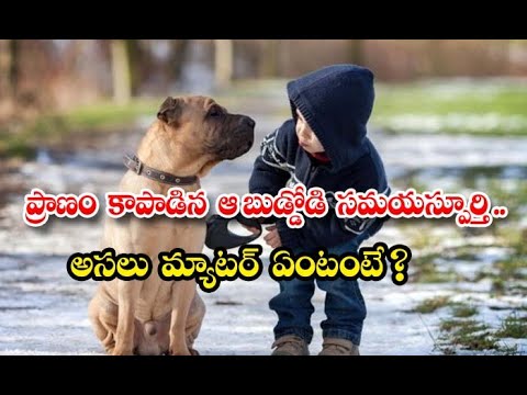  That Kid Who Saved Life Is Full Time The Real Matter Is-TeluguStop.com