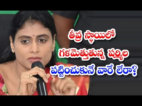  Sharmila Who Is Languishing At A Serious Level No One Care-TeluguStop.com