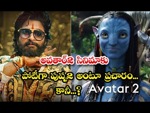  Competetion Between Avatar2 And Pushpa2 Movies-TeluguStop.com