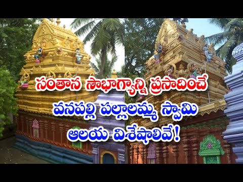  Vanapalli Pallalamma Swamy Temple Is A Special And Importance-TeluguStop.com