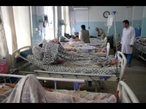  Who Chief, Taliban Discuss Afghan Health Crisis #taliban #afghan Health #taliban-TeluguStop.com
