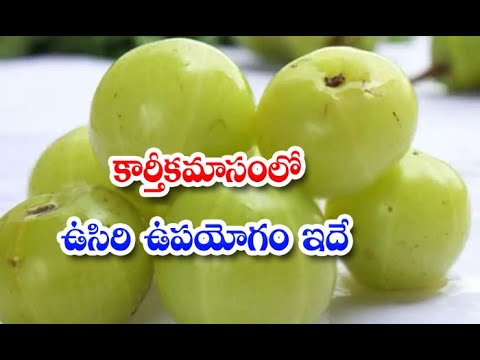  Amla Advantages In Kaarteekamaasam Health #karthik #karthika-TeluguStop.com