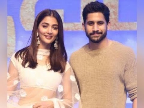  Naga Chaitanya Pooja Hegde Will Join Forces To Create A New Multilingual Venture-TeluguStop.com