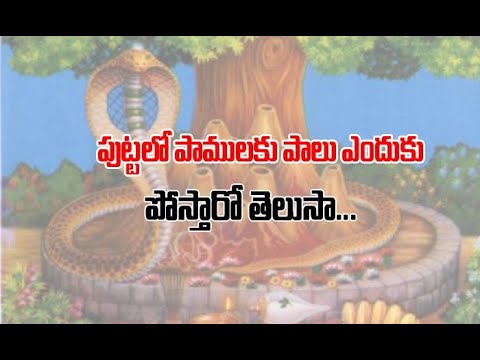  Devotional #manya #shiva #devotional #devotion-TeluguStop.com